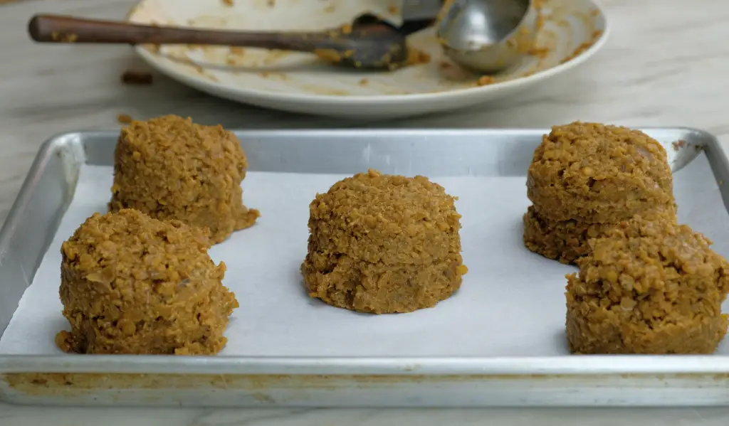 PORTIONED LENTIL BURGERS