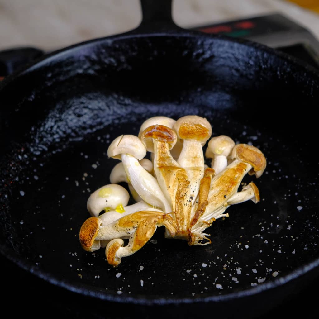 COOKING CLAMSHELL MUSHROOMS CLUSTER
