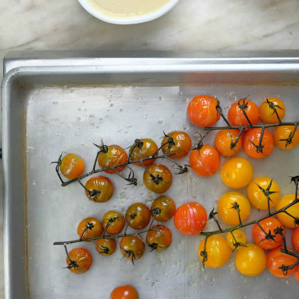 ROASTED HEIRLOOM CHERRY BLISTERED TOMATOES ON THE VINE